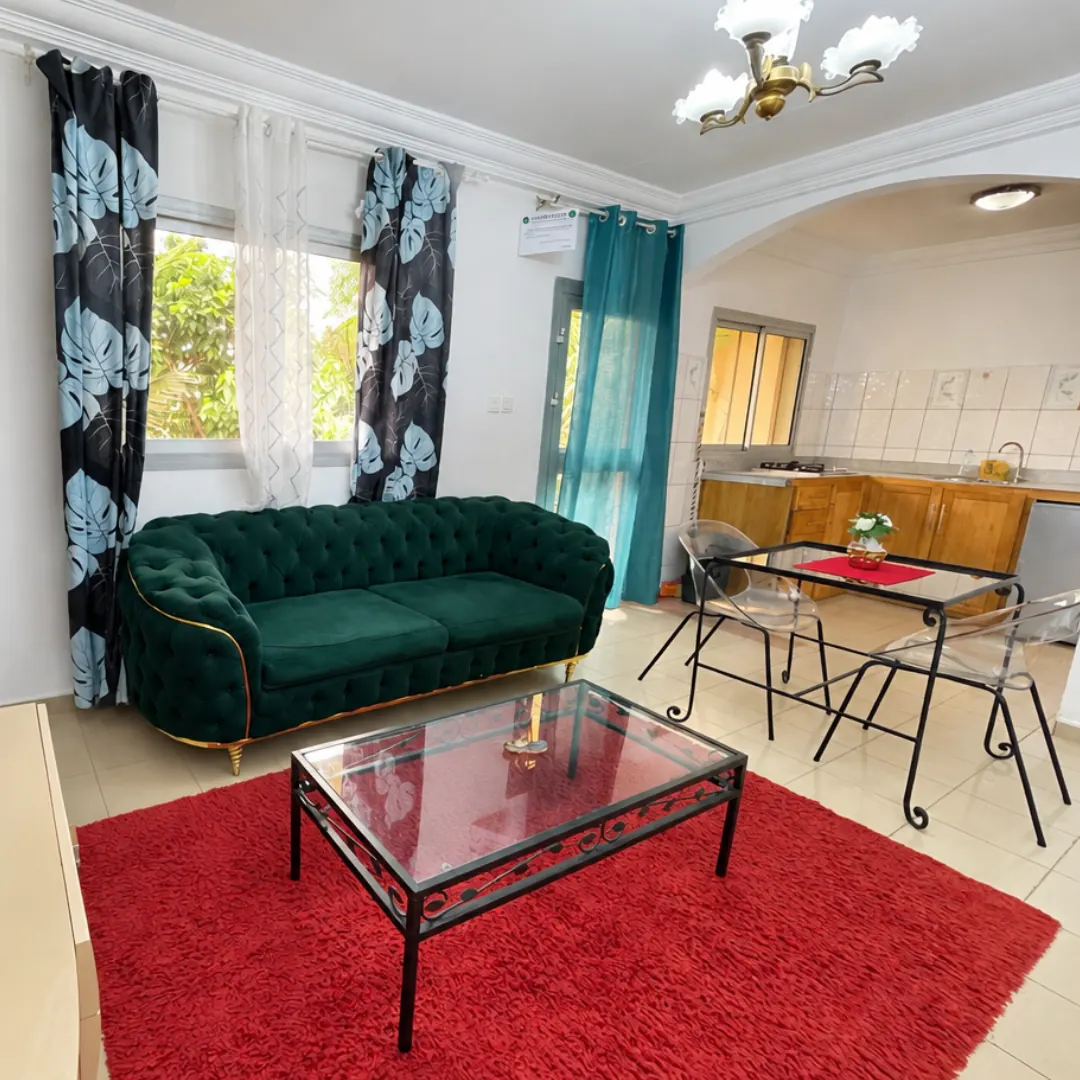 Salon ouvert sur la cuisine